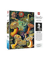 GoodLoot Пазл Imagination: Ernst Haeckel: Sea Anemones/Stworzenia morskie Puzzles 1000 эл. Baumar - Доступно