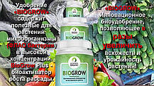 Biogrow Біоактиватор для стимулювання зростання всіх видів рослин БіоГроу РІДИНА, фото 5