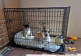 Клітка вольєр переноска для собак металева розбірна 76Х47Х53 см Клітка для тварин, фото 8