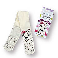 Колготки дитячі демісезонні бавовна LEGKO, 10 розмір, 62-68 см, 0-1 року, 19002, фото 2