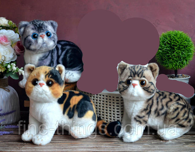 Мягкие игрушки кот, мягкая игрушка реалистичный кот Экзот, реальный ...