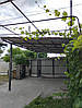 Односкатний каркас для навісу 3х4м, фото 3