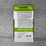 Ревінь Румбамбар Вікторія 0,3 г насіння пакетоване Велес, фото 2