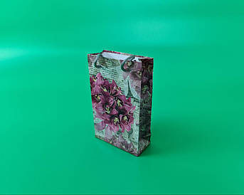 Пакет паперовий подарунковий малий 11/18/5 (арт М124) (12 шт.)