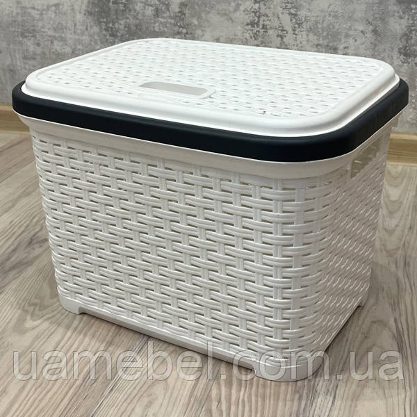 Кошик ротанг із кришкою 20л SP-300 Білий