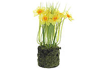 Декоративна композиція Нарциси зі штучним мохом, пластик, 22см, жовтий із зеленим