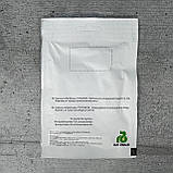 Квасоля спаржева Фестівал 50 шт насіння пакетоване Агропак, фото 2