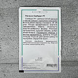 Патисон Санбурст 10 шт насіння пакетоване Агропак, фото 2