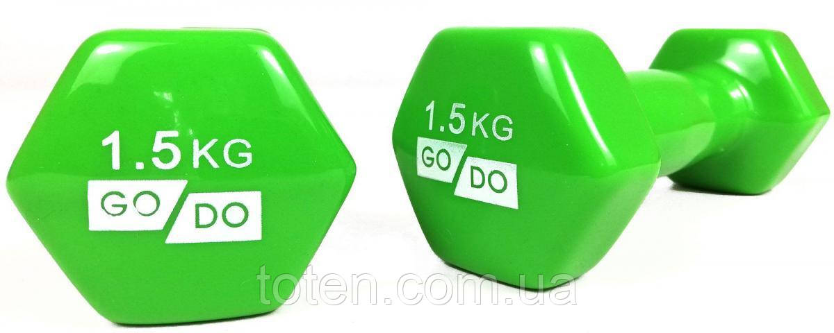 Гантель для фітнесу з вініловим покриттям 2шт GoDo GD-1.5GR топ, фото 1