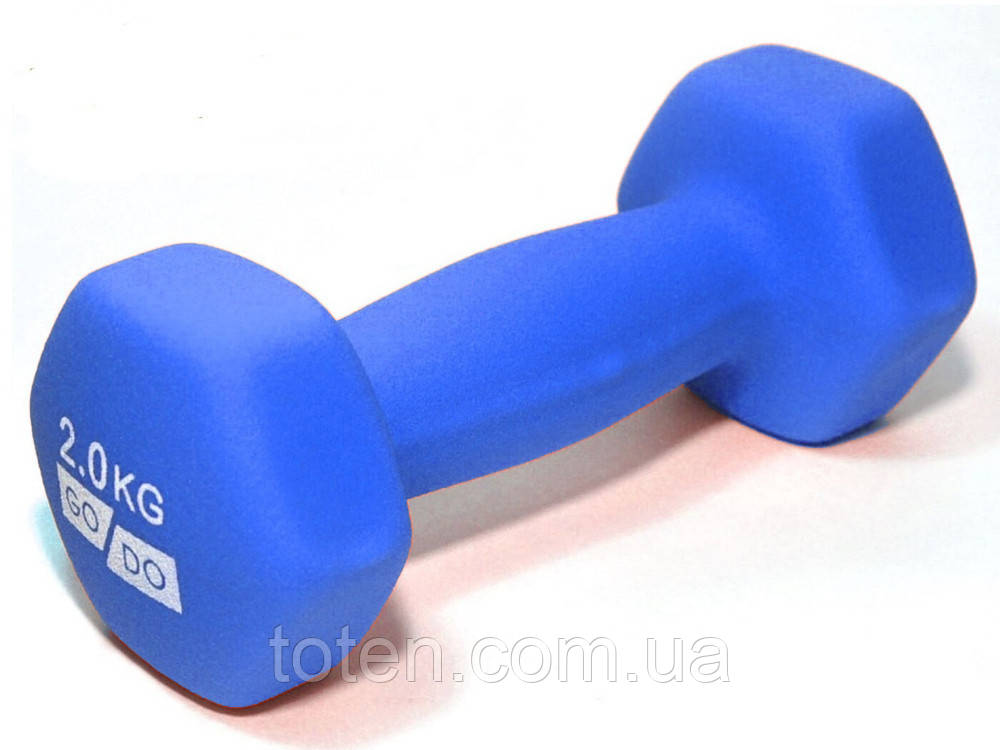 Гантельі для фітнесу з вініловим покриттям 2шт G0290-1-2BL топ, фото 1