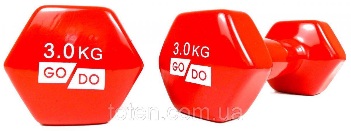 Гантель для фітнесу з вініловим покриттям 2шт GoDo GD-3.0R топ, фото 1