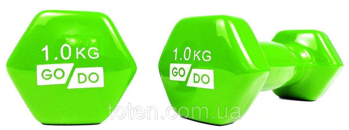 Гантель для фітнесу з вініловим покриттям 2шт GoDo GD-1.0GR топ, фото 1