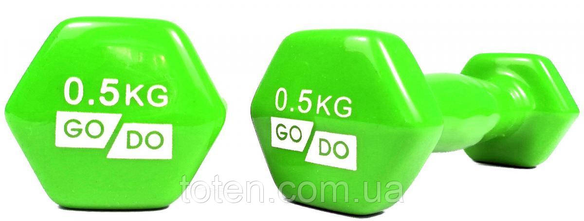 Гантель для фітнесу з вініловим покриттям 2шт GoDo GD-0.5GR топ, фото 1