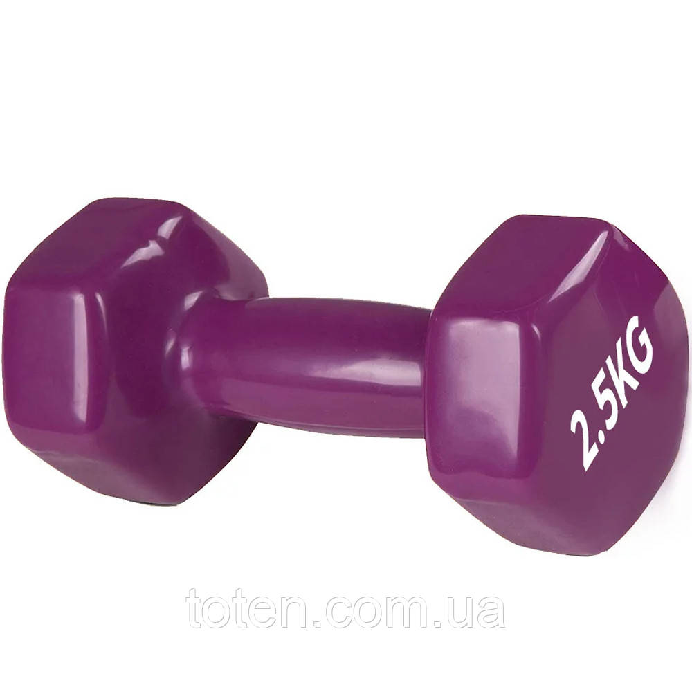 Гантель для фітнесу з вініловим покриттям 2шт G0290-2.5KG топ, фото 1