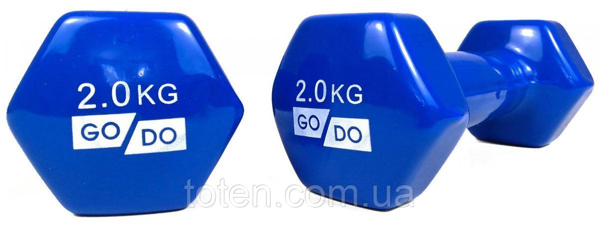 Гантель для фітнесу з вініловим покриттям 2шт GoDo GD-2.0BL топ, фото 1