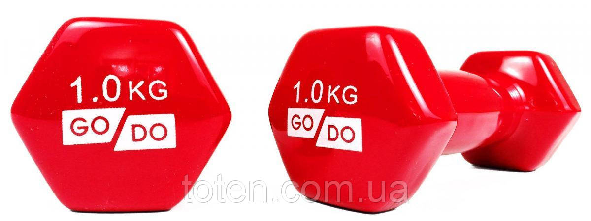 Гантель для фітнесу з вініловим покриттям 2шт GoDo GD-1.0R топ, фото 1
