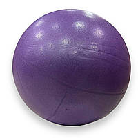 Мяч для пилатеса и йоги Pilates ball Mini Gemini 20cm фиолетовый топ