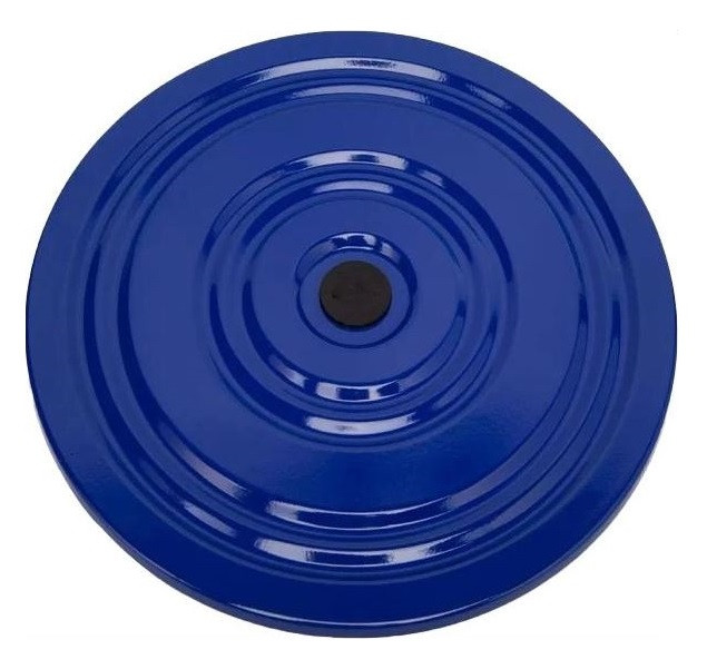 Диск здоров'я (диск Грація) металевий Sportko, діаметр 28 см, різний. кольору синій з білим