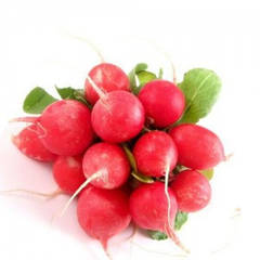 Насіння редиски імпортне