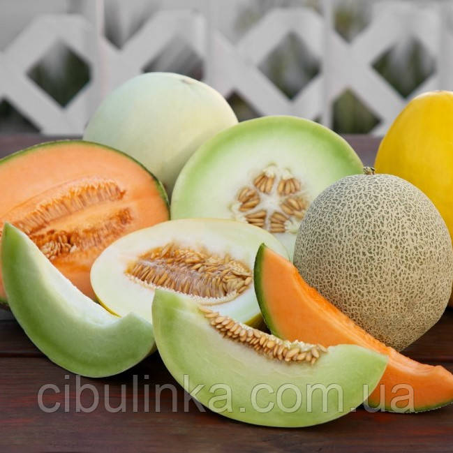 Диня Італійська суміш (ароматний мікс) 10 шт (zip-пакет), фото 1