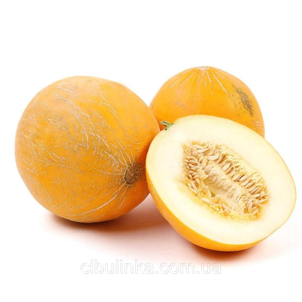 Диня Казка F1 Італія 10 шт (zip-пакет), фото 1