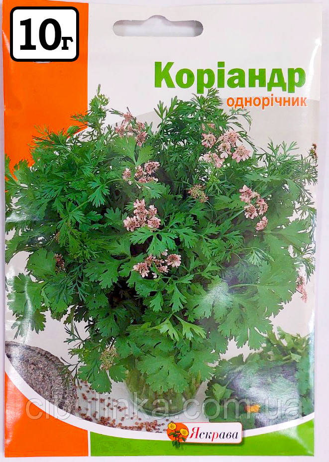Насіння Коріандр (Кінза) Яскрава 10 г, фото 1