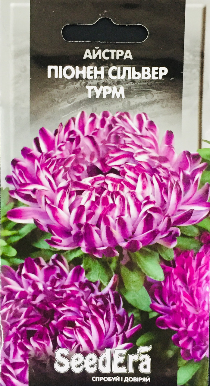 Айстра високоросла Піонен сільвер турм 0,25г, фото 1