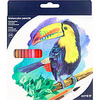 Олівці кольорові акварельні Kite Птахи 24 шт. Кольорові олівці для малювання Акварельні олівці