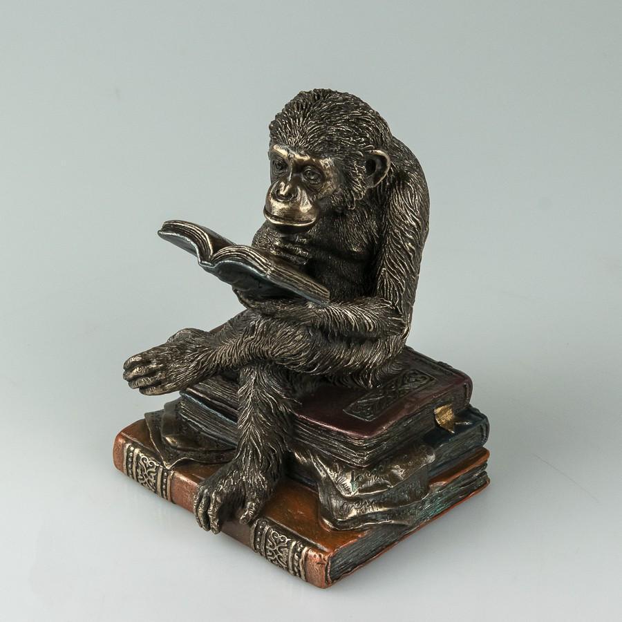 Статуетка Veronese Мавпа на книгах 17 см 76560A4_VER