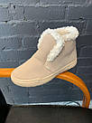 Жіночі напівчоботи DOMENIKA, пудра тедді, фото 3