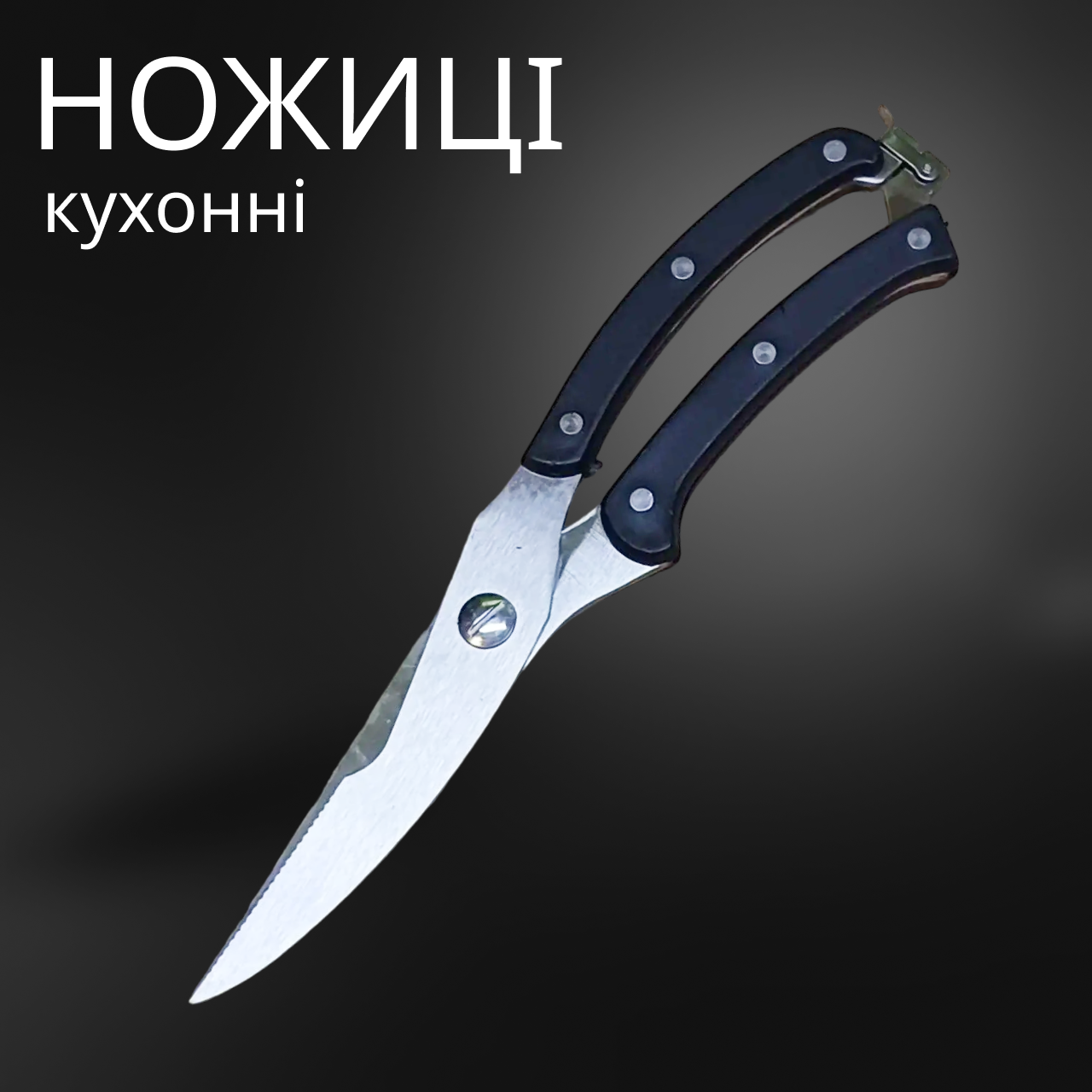 Ножиці для кухні 250 мм з фіксатором