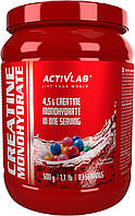 Креатин Activlab Creatine Powder 500 g (Bubble Gum)