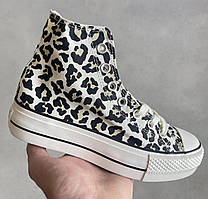 Кроссовки Converse Leopard
