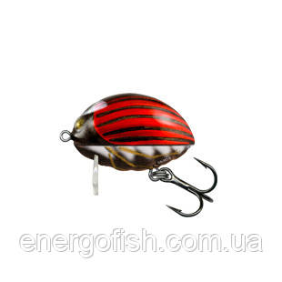 Воблер Salmo LIL' BUG BG2F BBG 2.5cm 2.8g поверхневий