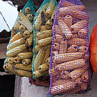 Насіння кормового кукурудзи Хотин ДБ, 1 кг, фото 3