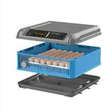 Інкубатор автоматичний Птаха 60-OR (220/12в), фото 2