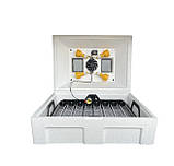 Інкубатор автоматичний Теплуша Люкс 72 ЛАВ Ламповий з Вологоміром, фото 6