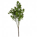 Гілка евкаліпта декоративна Дотик природи 39 см Elisey 9023-023