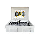 Інкубатор автоматичний Теплуша Люкс 72 ТАВ Теновий з Вологоміром, фото 3