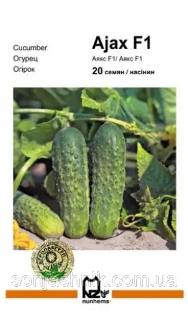 Огірок Аякс F1 20н АПГ