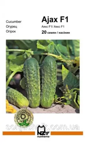 Огірок Аякс F1 20н АПГ, фото 1