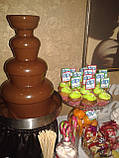 Оренда шоколадного фонтану на 4.5 кг шоколаду (з шоколадом і обслуговуванням), фото 4