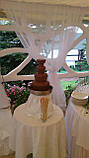Оренда шоколадного фонтану на 4.5 кг шоколаду (з шоколадом і обслуговуванням), фото 5