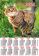 Календар настінний 2024 рік Кіт KS-01U