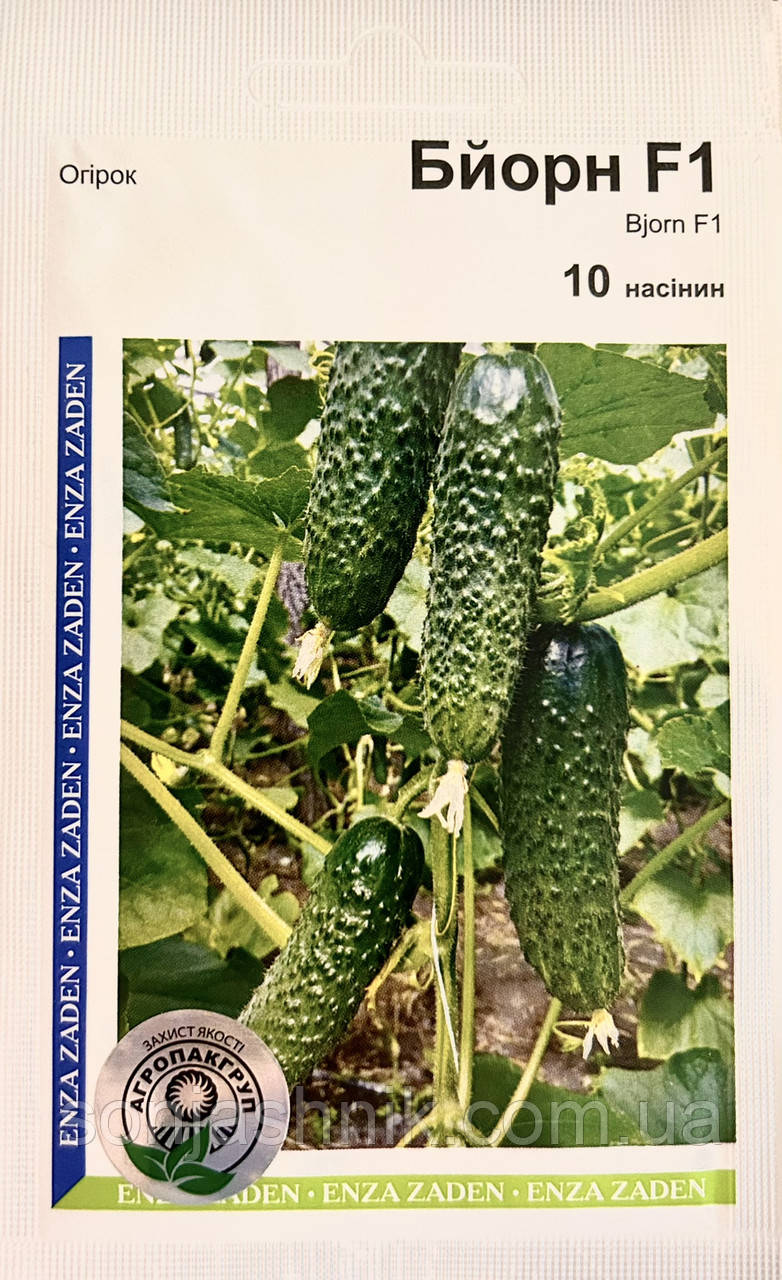 Огірок Бйорн F1 10н АПГ