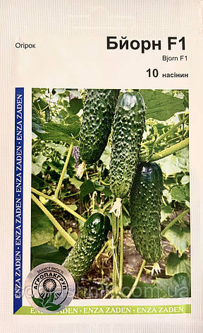 Огірок Бйорн F1 10н АПГ, фото 1
