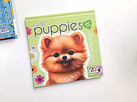 Раскраска 140х140мм/20 листов "ASH" твердая обложка 150г/м2 "Cute puppies"