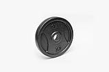 Металевий млинець (диск) RN-Sport 2,5 кг під гриф Ø 25 мм для гантелі (штанці), фото 9