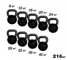 Набір чавунних гир на 216 кг Rn-Sport