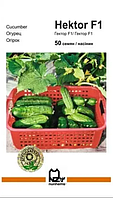 Огірок Гектор F1 50 насінин Агропакгруп